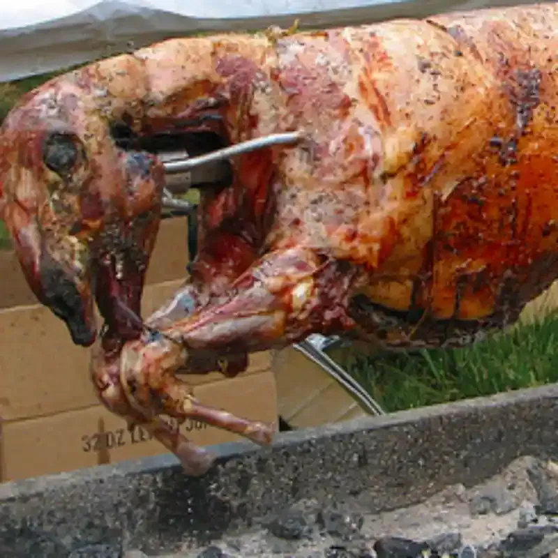 Grilled Lamb